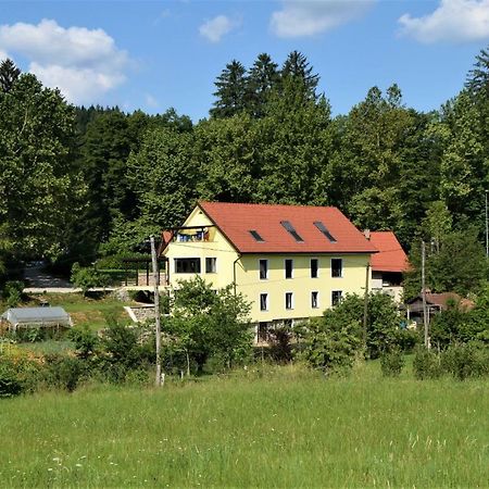 Apartmaji Maln Dolenjske Toplice Exterior photo